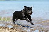 STAFFIE 197